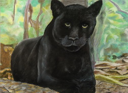 Black Jaguar 2