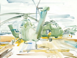 HMM-268, CH-34 Helicopters