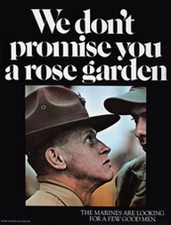 We Don't Promise You A Rose Garden