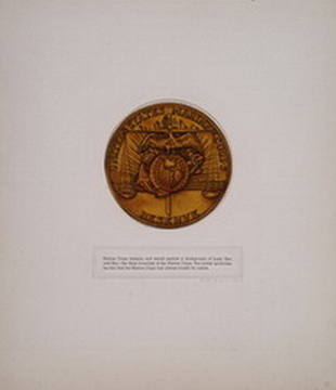 Medallion Design 