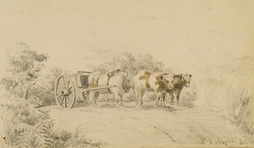 Oxen Pulling a Cape Town Cart