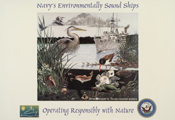Navy's Enviromentally Sound Ships
