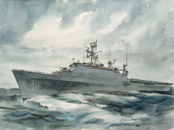 Marine Assault Ship at Sea
