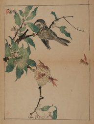 Bird and Bees, from Tsuzoku Isopu Monogotari