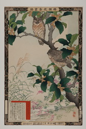Two Owls in Yellow Flowering Branches