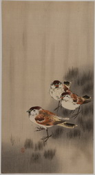 Three Sparrows