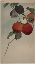 Bird and Pomegranates
