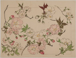 White and Pink Flowers, from Hana Kurabe