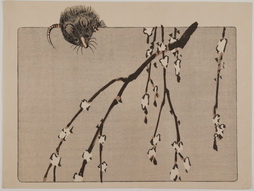 Hedgehog with Blossoming Pussy Willow, from Hana Kurabe