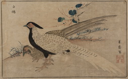 Pair of Pheasants, from Raikin Dzui, 1797