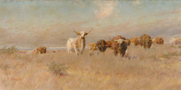 The Approaching Herd