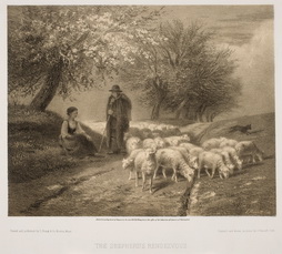The Shepherd's Rendezvous