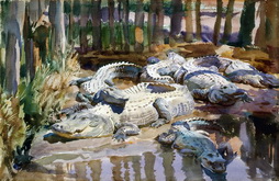 Muddy Alligators