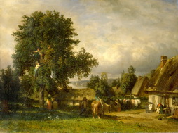 Apple Harvest in Normandy