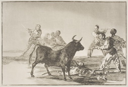 The Rabble Hamstring the Bull with Lances, Sickles, Banderillas,
and Other Arms 
