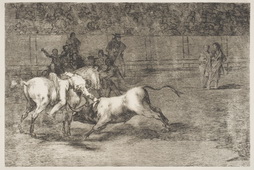 Mariano Ceballos, Alias The Indian, Kills the Bull from His Horse


