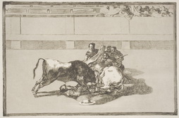A Picador is Unhorsed and Falls Under the Bull 



