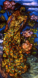 Peacock Window