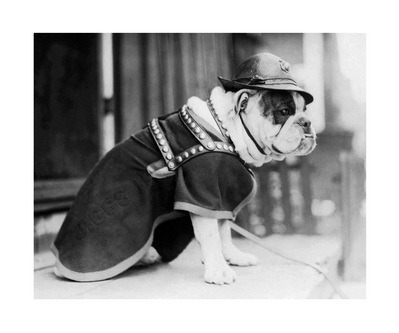 09 - Sergeant Major Jiggs II