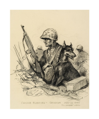 12 - Canine Buddies Okinawa May 22, 1945