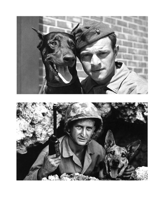 15 - Private Alexander Boccardo and Doberman, Private John L. Drugan and Pal