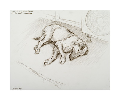 28 - Alfi the Dog Finds Shade in 110 Heat 20190606