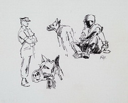 Dogs and Handlers 