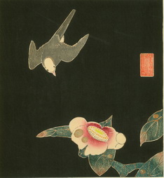 Swallows and Camellia, no. 6