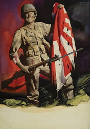 Combat Infantryman