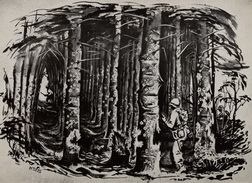 Screening The Woods