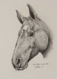 Black Jack