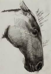 Sketch of Black Jack's Head