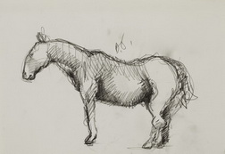 Sketch of Horse 
