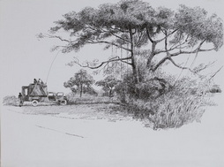 Communications Field Site