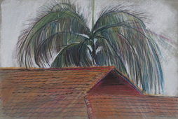 Rooftop with Palm Tree