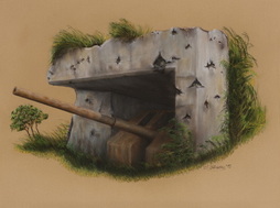 Wwii Japanese Coastal Defense Gun