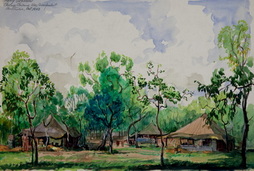 Camp In Australia
