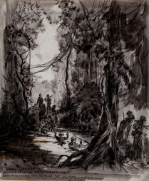 Through The Jungle Morass