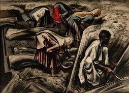 Reaping Winter Wheat - India Village...