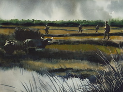 Heading For The Rat's Nest
