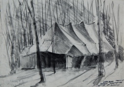 Rubber Plantation