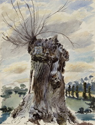 An Impressive Stump