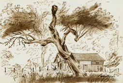 The Leaning Tree