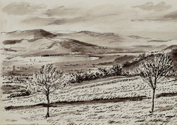 Countryside Outside Trier