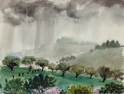 Sudden Rain Over Orchard in...