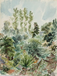 Camouflaged Bivouac Area Near Countances
