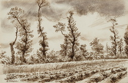 Typical Normandy Trees