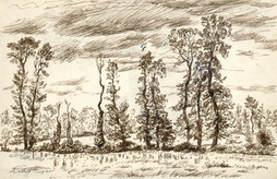 Typical Normandy Trees and Hedgerows...