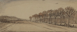 Fields And Rows Of Trees