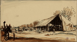 Bouef